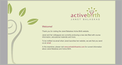 Desktop Screenshot of janetbalaskas.com